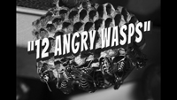 12 Angry Wasps