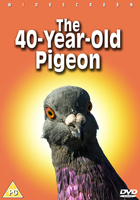 The 40 Year Old Pigeon